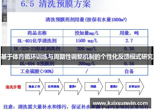 基于体育循环训练与周期性调整机制的个性化反馈模式研究