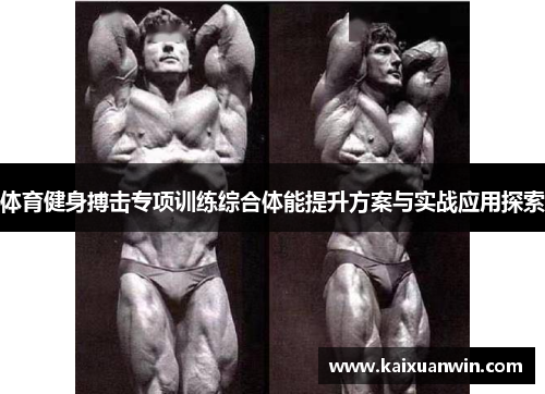 体育健身搏击专项训练综合体能提升方案与实战应用探索