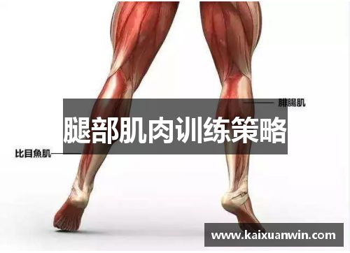 腿部肌肉训练策略